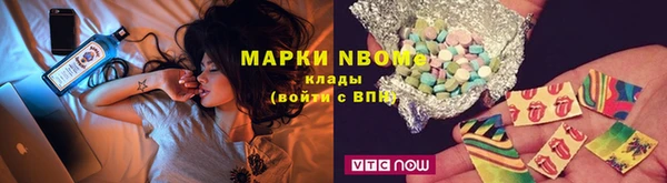 прущие грибы Беломорск