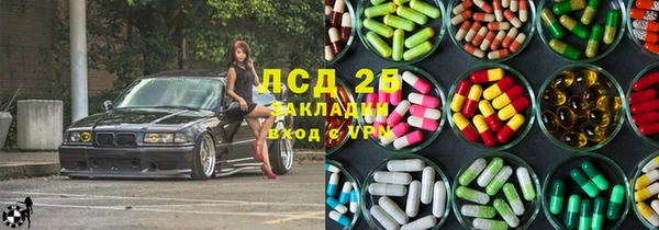 прущие грибы Беломорск