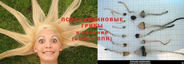 первитин Белоозёрский