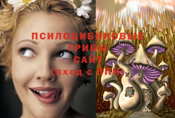 прущие грибы Беломорск