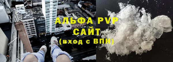 прущие грибы Беломорск