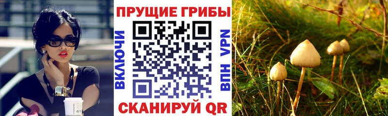 Псилоцибиновые грибы мухоморы  хочу наркоту  Севск 